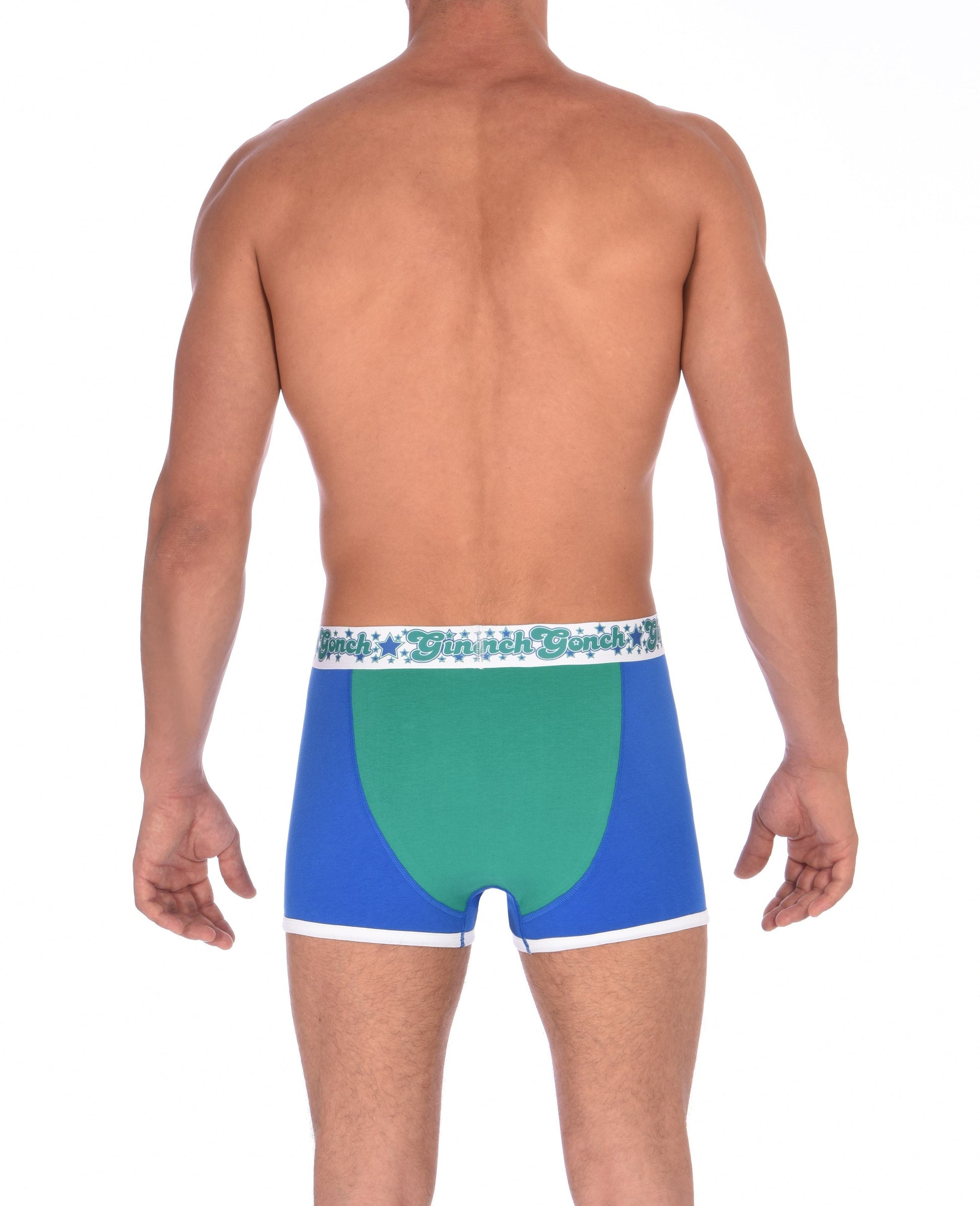 Ginch Gonch Blue Lagoon men's boxer briefs trunks y front blue and green. panels with white trim and printed waistband back