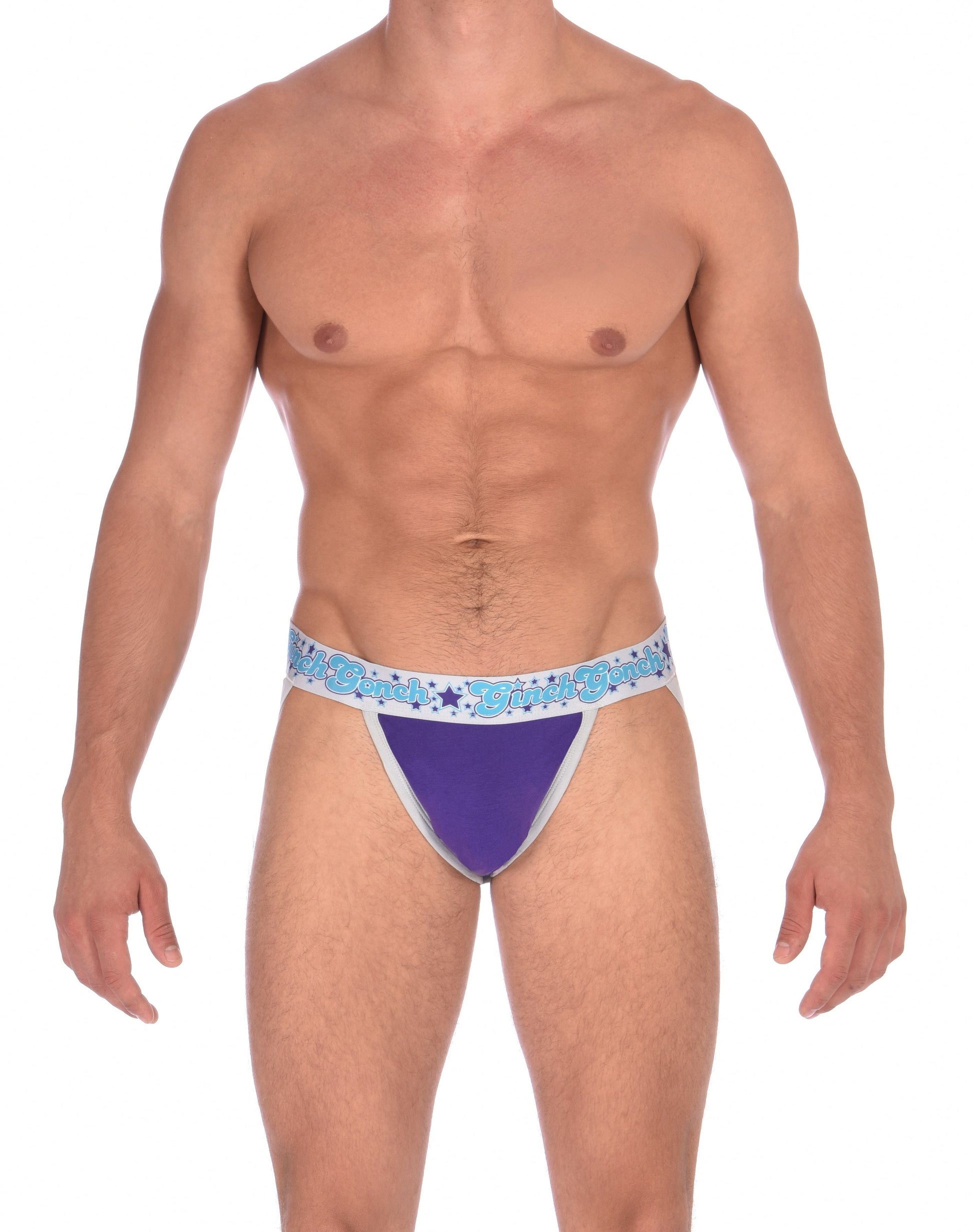 GG Ginch Gonch Purple Haze Jock Strap - men's Underwear purple front panel with grey trim and silver printed waistband front 