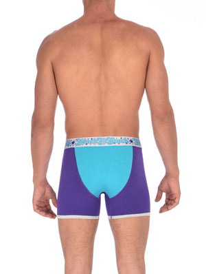 GG Ginch Gonch Purple Haze Boxer Brief y front - Men's Underwear purple and aqua panels with grey trim and silver printed waistband back