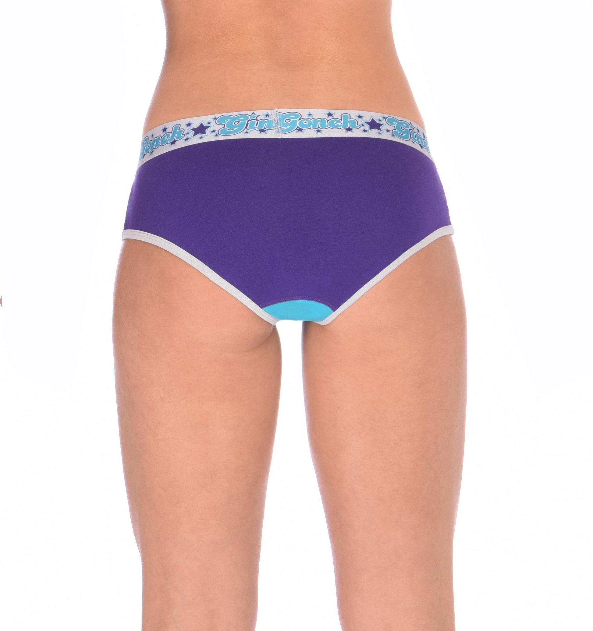 GG Ginch Gonch Purple Haze Low Rise boy cut Brief y front - Women's Underwear purple and aqua panels with grey trim and silver printed waistband back 